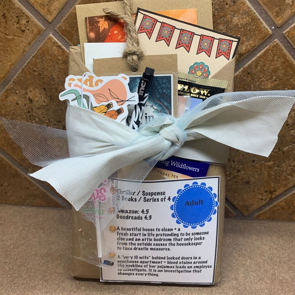 Blind Date With A Book ADULT THRILLER 1st TWO Books in Series Suspense Gift